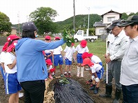 0522satsumaimo1