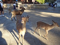  0710syuugakuryokou2