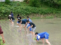 5nenntaue4