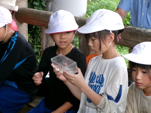川の生き物調べ４