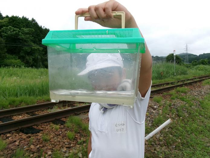 めざせ！生きもの博士３