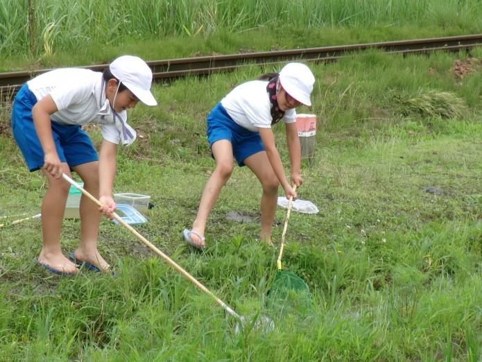 めざせ！生きもの博士４