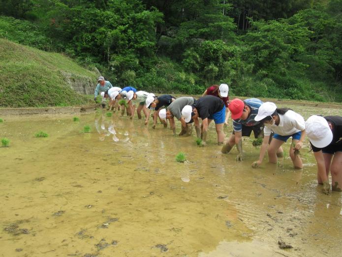 田植え１