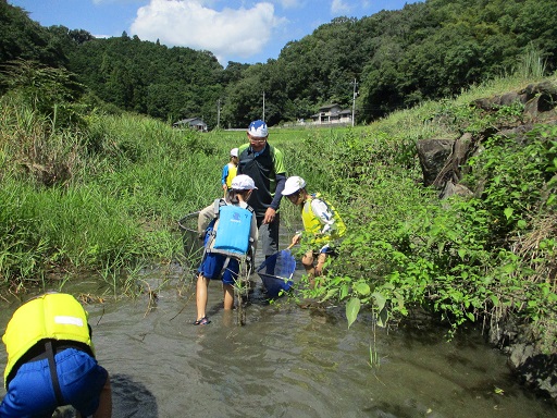 川の生き物調べ１