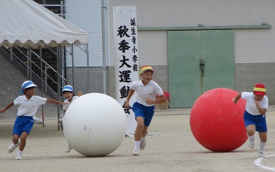 大玉ころがし