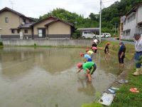 田植えⅡ