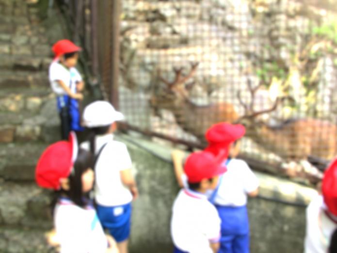 080529_sya3