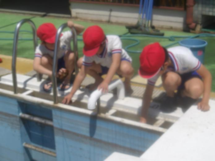 080514_puru1