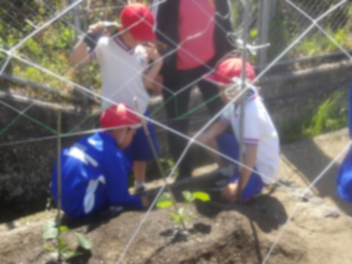 080515_kyu3