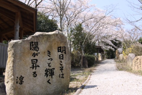 川柳公園