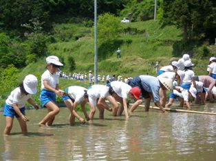 田んぼの学校